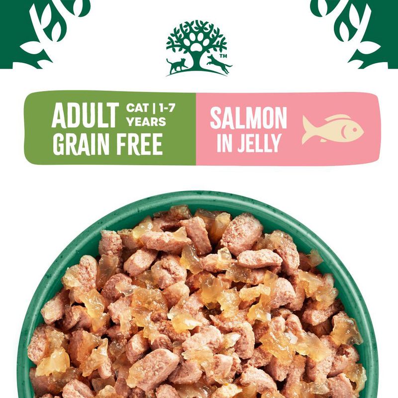 James Wellbeloved Adult Cat Hypoallergenic Pouches - Salmon in Jelly || James Wellbeloved || view 3