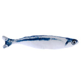 Toy in the shape of a white fabric fish with blue stripes and printed fish design.