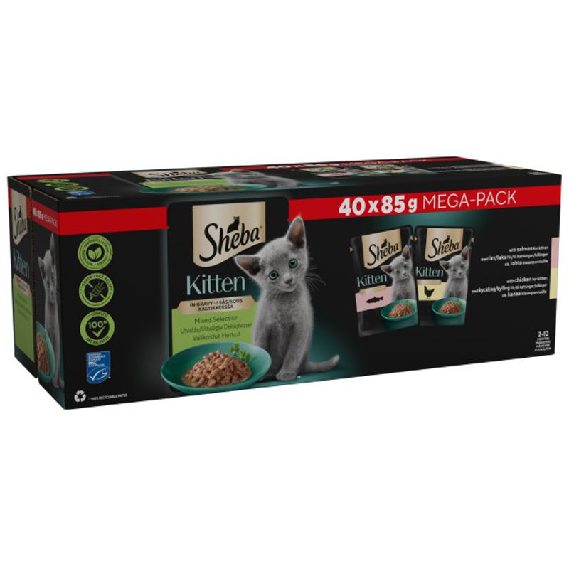 Sheba Kitten Pouches Mega Pack || Sheba || view 1