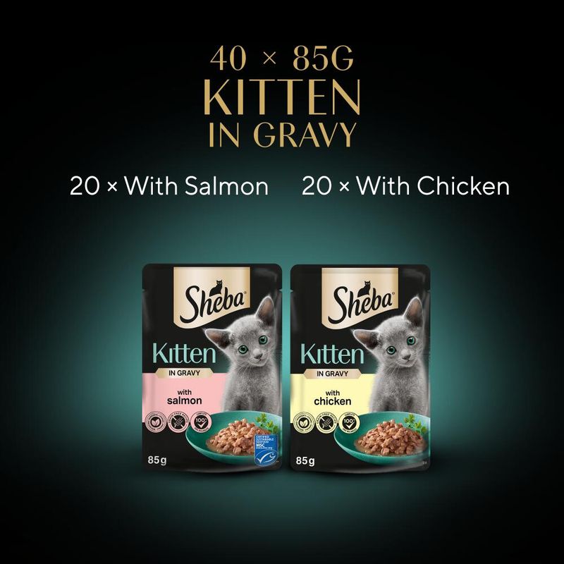 Sheba Kitten Pouches Mega Pack || Sheba || view 10