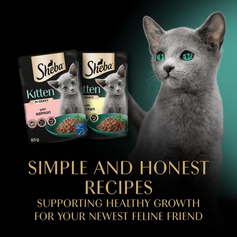 Sheba Kitten Pouches Mega Pack || Sheba || view 11