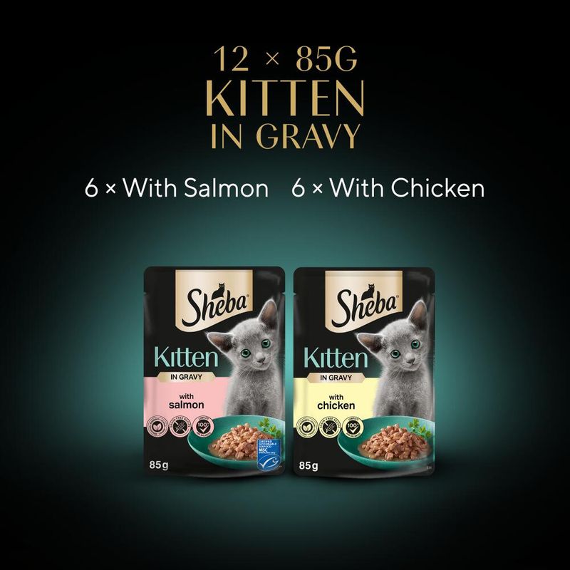 Sheba Kitten Pouches || undefined || view 10