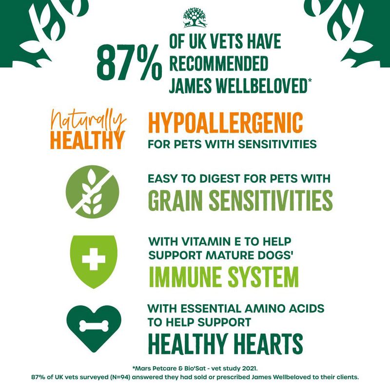 James Wellbeloved Senior Hypoallergenic Grain Free Pouches - Turkey in Gravy || James Wellbeloved || view 6