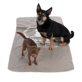 Two small dogs on a grey blanket with white logo and lettering.