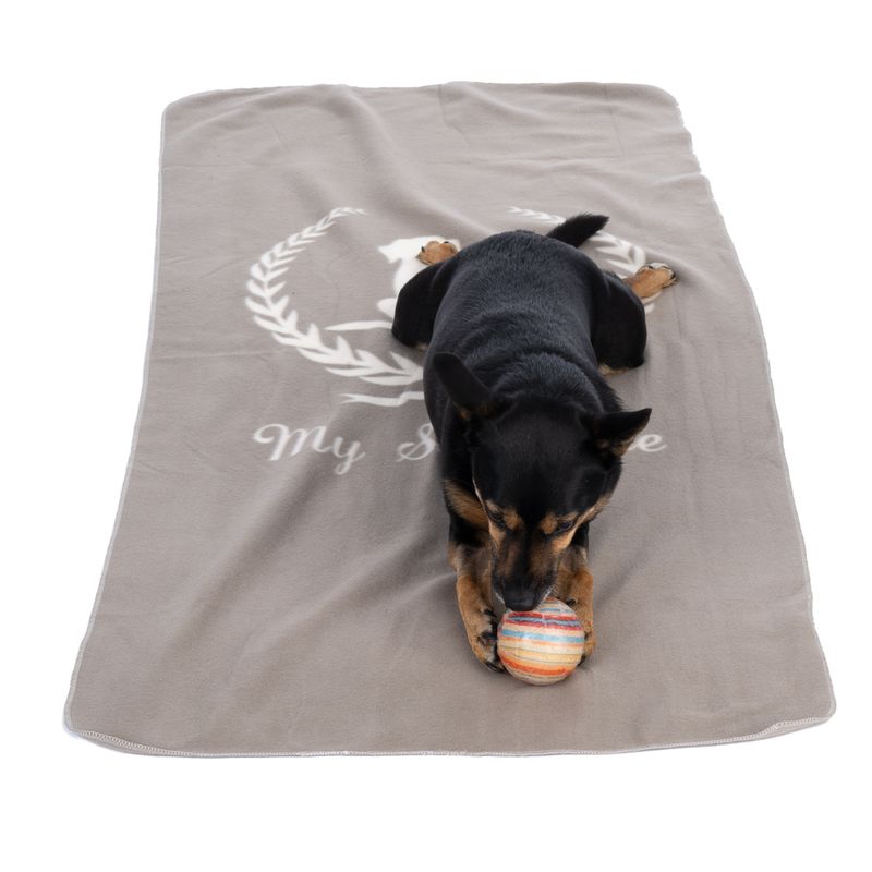 Dog lying on a grey blanket with the inscription 'My Style' and playing with a colourful ball.