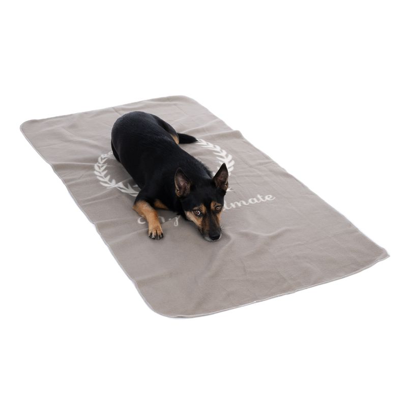 Dog lying on grey blanket with white 'Enjoy your ultimate' lettering and laurel wreath design.
