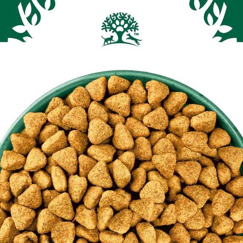 James Wellbeloved Grain Free Adult Dog Hypoallergenic Turkey & Vegetables || James Wellbeloved || view 6
