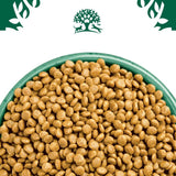 James Wellbeloved Grain Free Adult Cat Hypoallergenic Turkey​​​​​​​ || James Wellbeloved || view 8