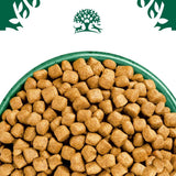 Bowl filled with square-shaped dry pet food kibble, shown close up from above.