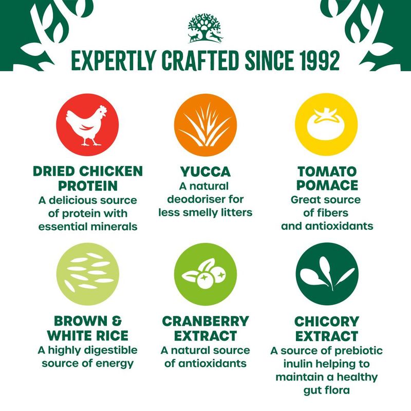Key ingredients: dried chicken protein, yucca, tomato pomace, brown and white rice, cranberry extract, chicory extract. Includes benefits like protein, antioxidants, energy, gut health.