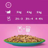 Whiskas 1+ Duo Mixed Medley in Jelly || undefined || view 6