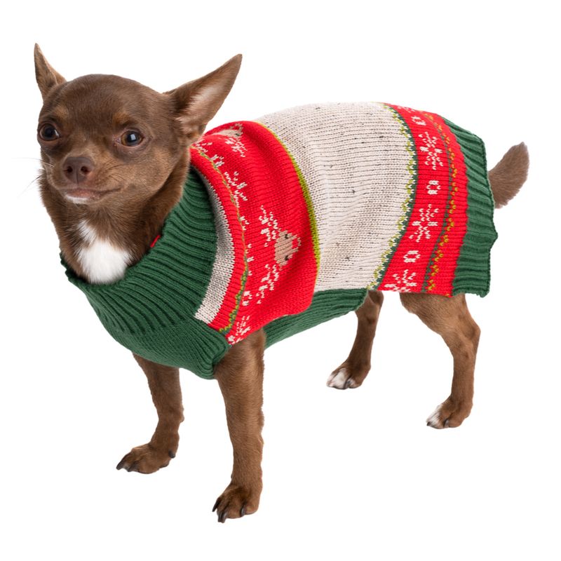 Small dog wearing a knitted jumper in green, red and white with reindeer and snowflake pattern.