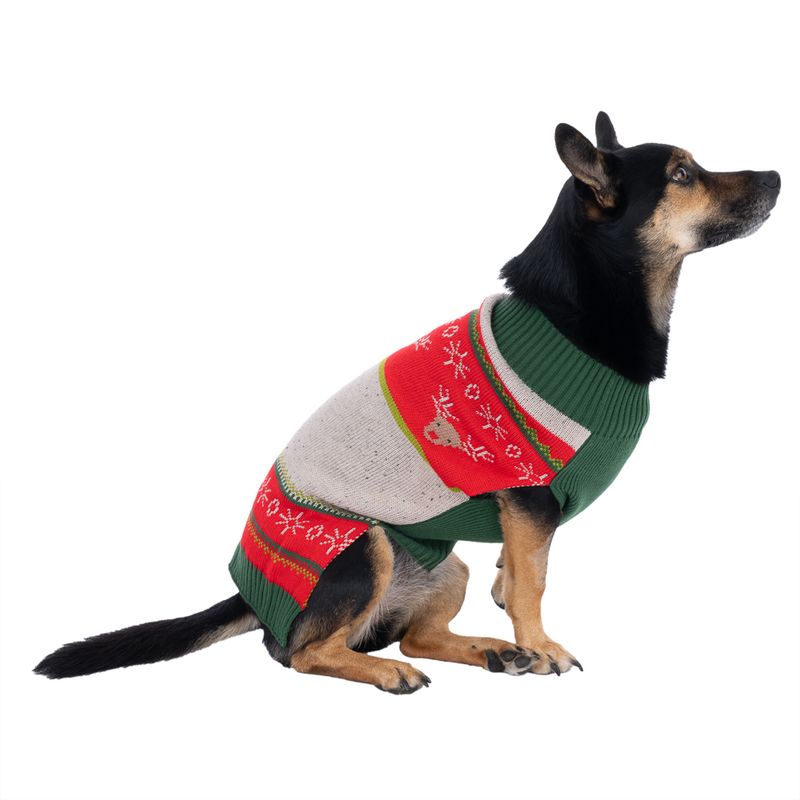 Dog wearing a knitted jumper in green, red and beige with reindeer and snowflake pattern.