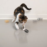 Cat playing with spiral-shaped toy made of metal and plastic on a smooth floor. More spirals scattered in the background.