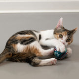 Cat playing with a colourful toy ball. Product shows use of a cat toy.