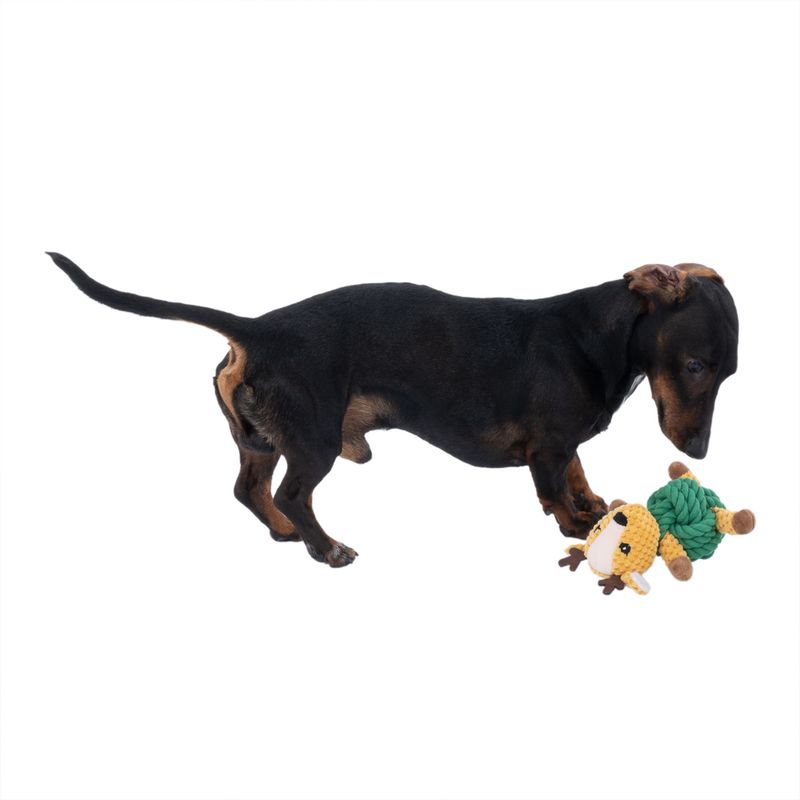 Dog playing with green and yellow fabric toy in animal shape.