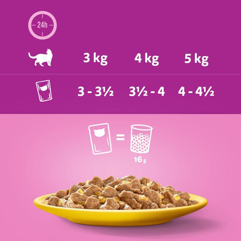 Whiskas 1+ Poultry Feasts in Jelly || undefined || view 12