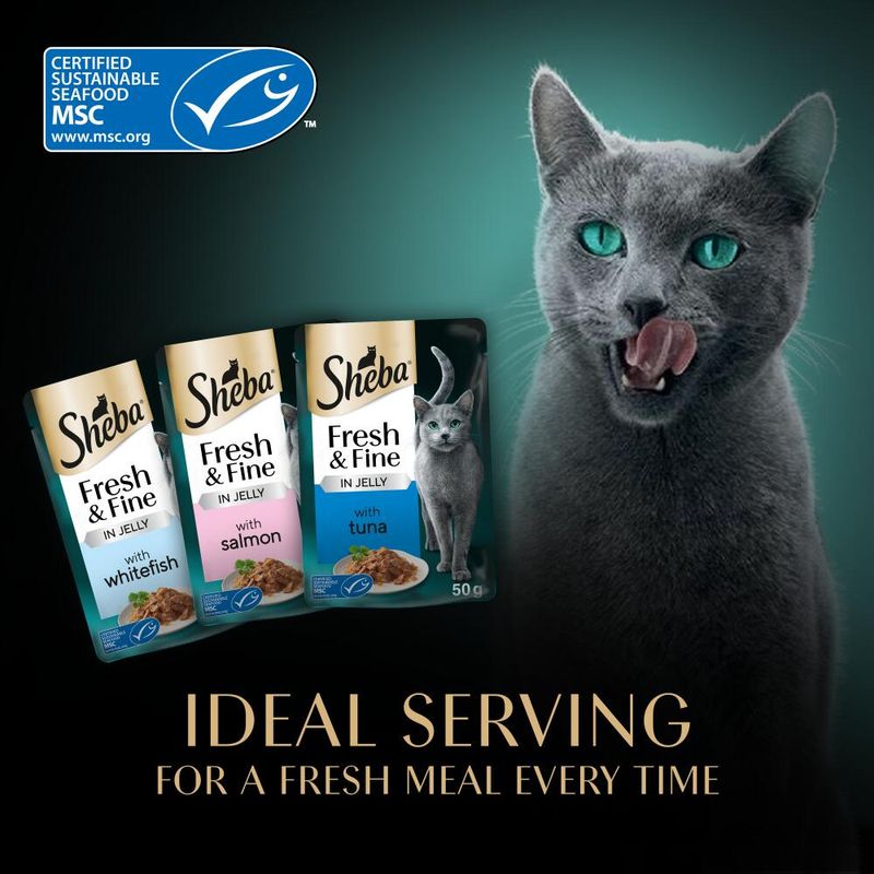 Sheba Fresh & Fine in Jelly Mini Pouches Saver Pack 12 x 50g || Sheba || view 27