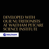 Sheba Fresh Cuisine Taste of Tokyo || Sheba || view 11