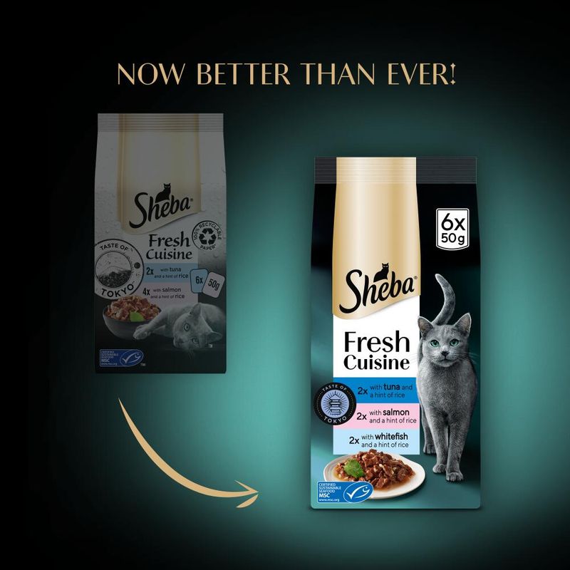 Sheba Fresh Cuisine Taste of Tokyo || Sheba || view 14