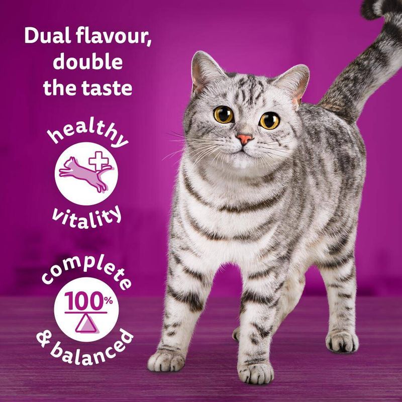 Whiskas 1+ Duo Surf & Turf in Jelly || undefined || view 5