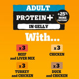 Pedigree Protein+ Pouches in Jelly Multipack || Pedigree || view 6