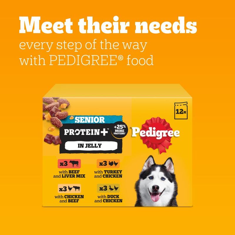 Pedigree Protein+ Pouches in Jelly Multipack || Pedigree || view 7