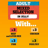 Pedigree Pouch in Jelly Multipack || Pedigree || view 6