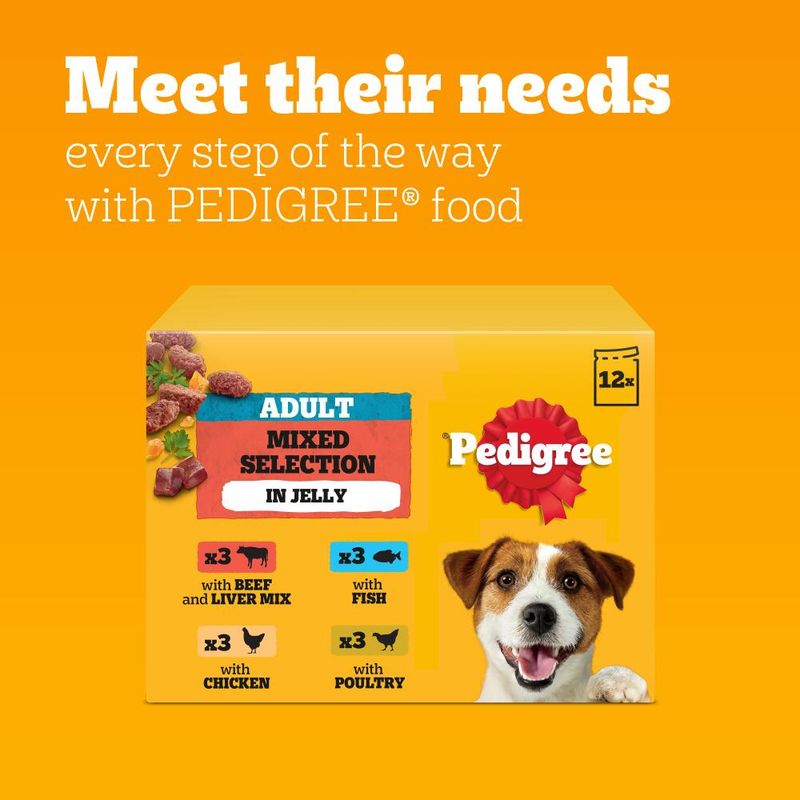 Pedigree Pouch in Jelly Multipack || Pedigree || view 7