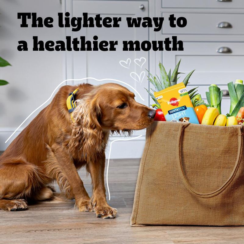 Text reads: The lighter way to a healthier mouth. Image shows a dog sniffing a shopping bag filled with fruit, vegetables and a pack labelled Dentastix Light.