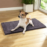 Small dog lying on a textured, dark mat placed on a wooden floor indoors, demonstrating use of the mat.