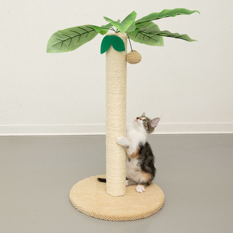 Cat tree in palm shape with sisal trunk, green leaves and hanging play ball. Cat playing at the trunk.