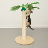 Cat tree in palm shape with sisal trunk and hanging toy. Cat climbing up the trunk.