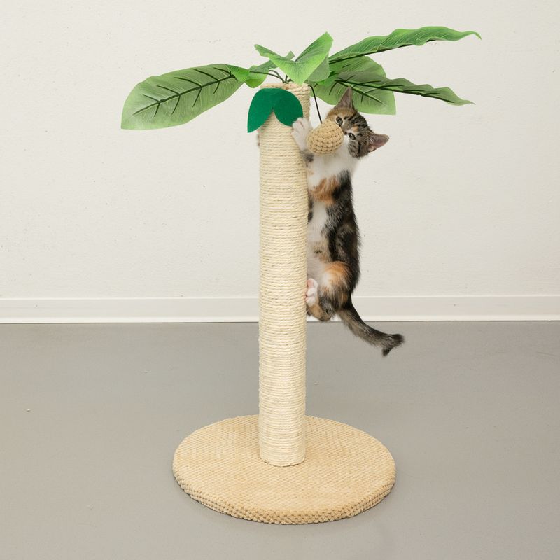 Cat tree in palm shape with sisal trunk and hanging toy. Cat climbing up the trunk.