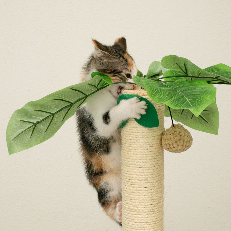 Cat tree with sisal post, artificial leaves and hanging toy. Cat playing at the post.