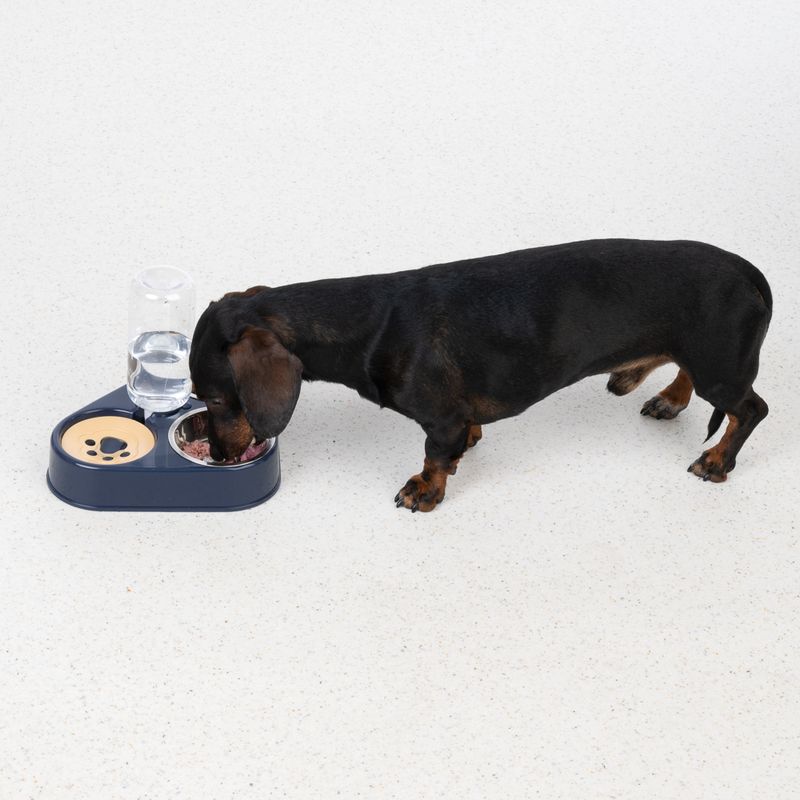 Dog eating from a feeding station with integrated water dispenser and bowl. Station in dark blue with paw motif on yellow insert.