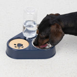 Dog eating from a blue food and water bowl with integrated bottle holder. Shows product in use.