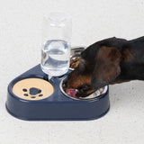 Feeding station with water dispenser, bowl for dry food and bowl for wet food. Dog eating from the wet food bowl.
