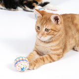 Red cat playing with a colourful, woven fabric ball. Another cat and a similar ball visible in the background.