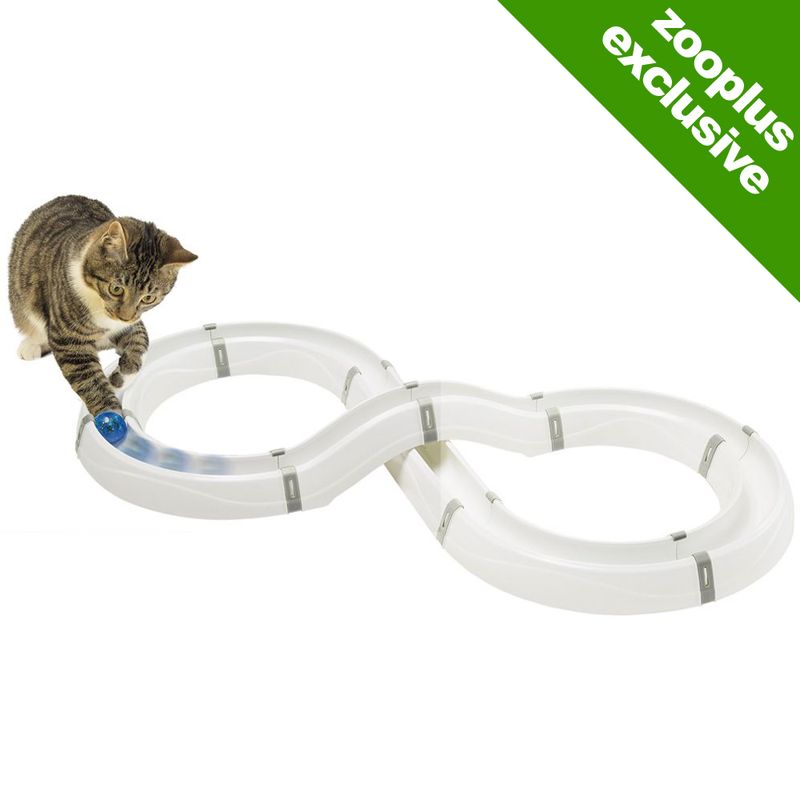 Tabby cat playing with a blue ball in a white plastic figure-eight track. Green corner badge reads ''.