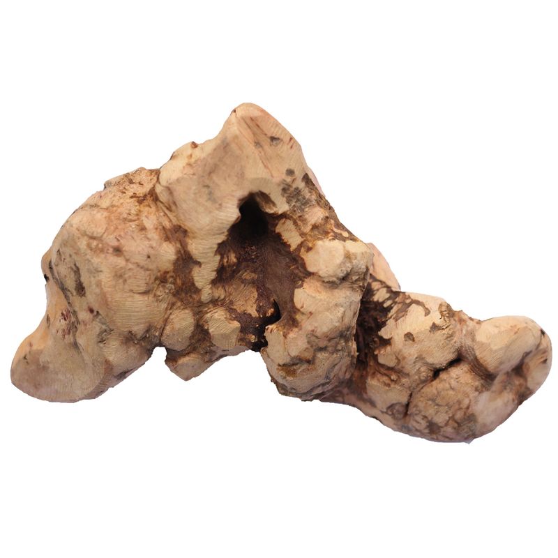 Natural wood piece with irregular shape and visible grain, suitable for decoration or pet accessories.