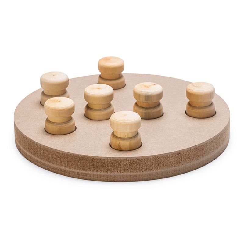 Karlie Doggy Brain Train 2-in-1 Dog Intelligence Toy