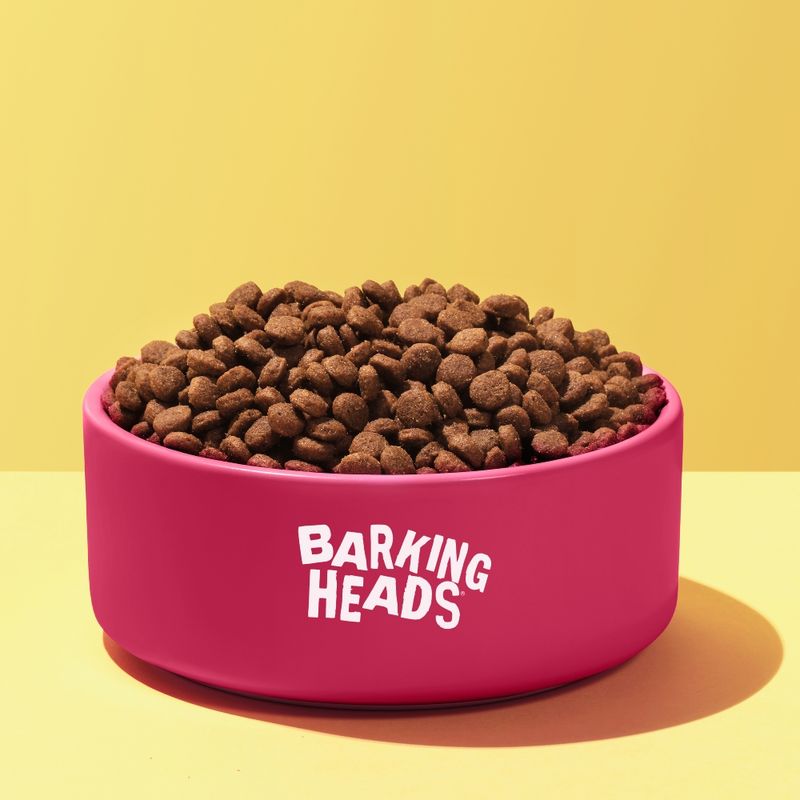 Barking Heads All Hounder Puppy Days Turkey || barking heads || view 7