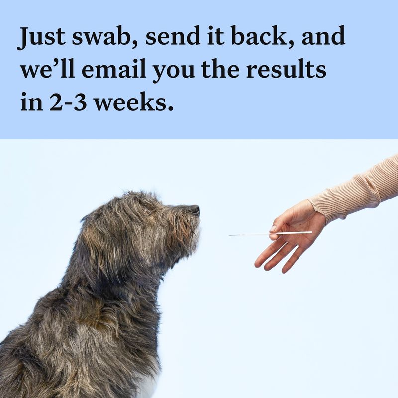 Wisdom Panel™ Breed Discovery Dog DNA Test || Wisdom Panel || view 6