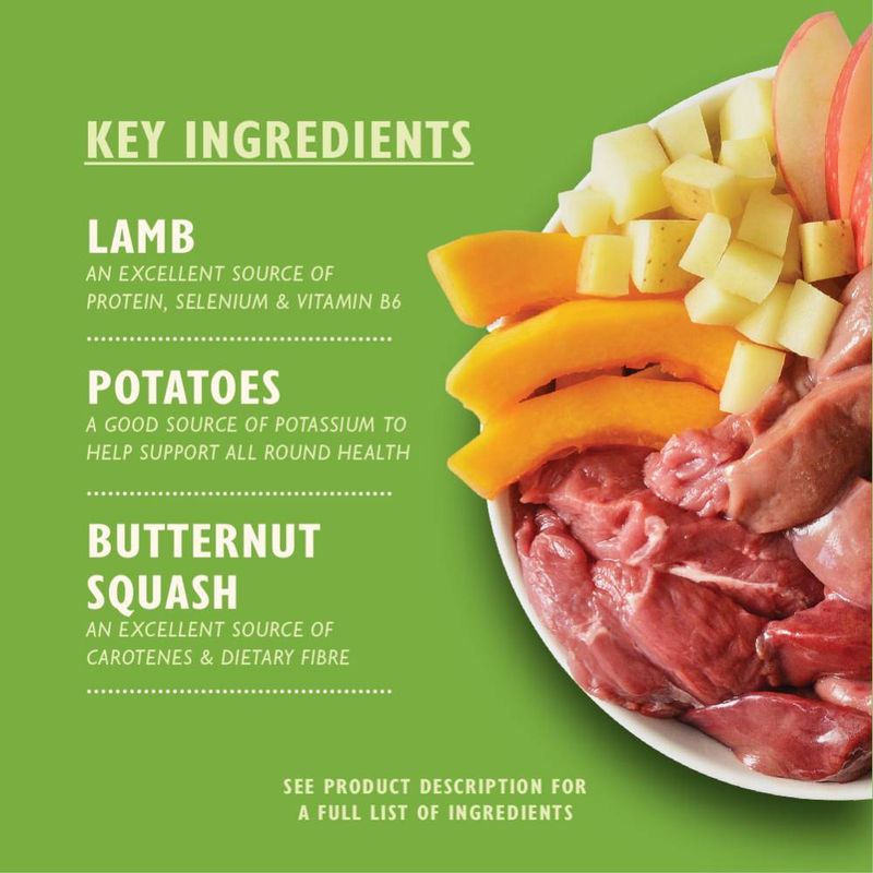 Lily's Kitchen Lamb Hotpot || Lily's Kitchen || view 4