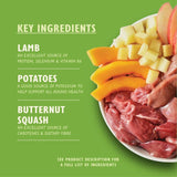 Lily's Kitchen Lamb Hotpot || Lily's Kitchen || view 4