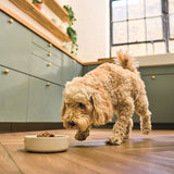 Lily's Kitchen Adult Dry Dog Food - Breakfast Crunch || Lily's Kitchen || view 3