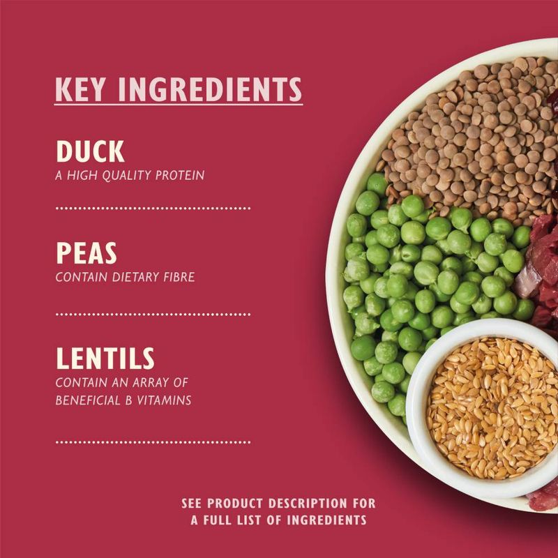 Lily's Kitchen Adult Dry Dog Food - Duck, Salmon & Venison || Lily's Kitchen || view 4
