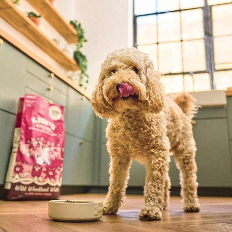 Lily's Kitchen Adult Dry Dog Food - Duck, Salmon & Venison || Lily's Kitchen || view 5