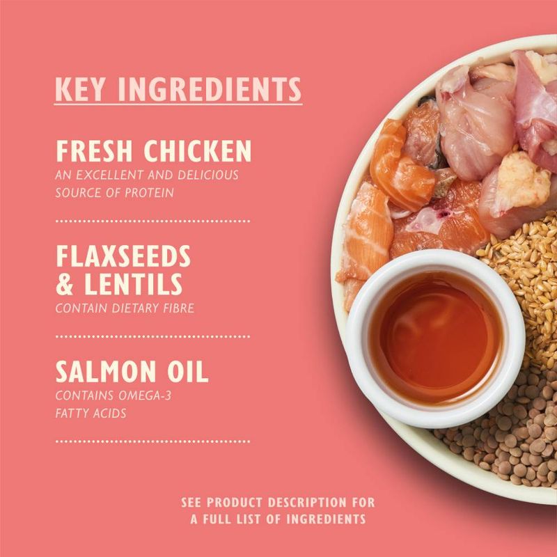 Lily's Kitchen Puppy Dry Dog Food - Chicken, Salmon & Peas || Lily's Kitchen || view 4